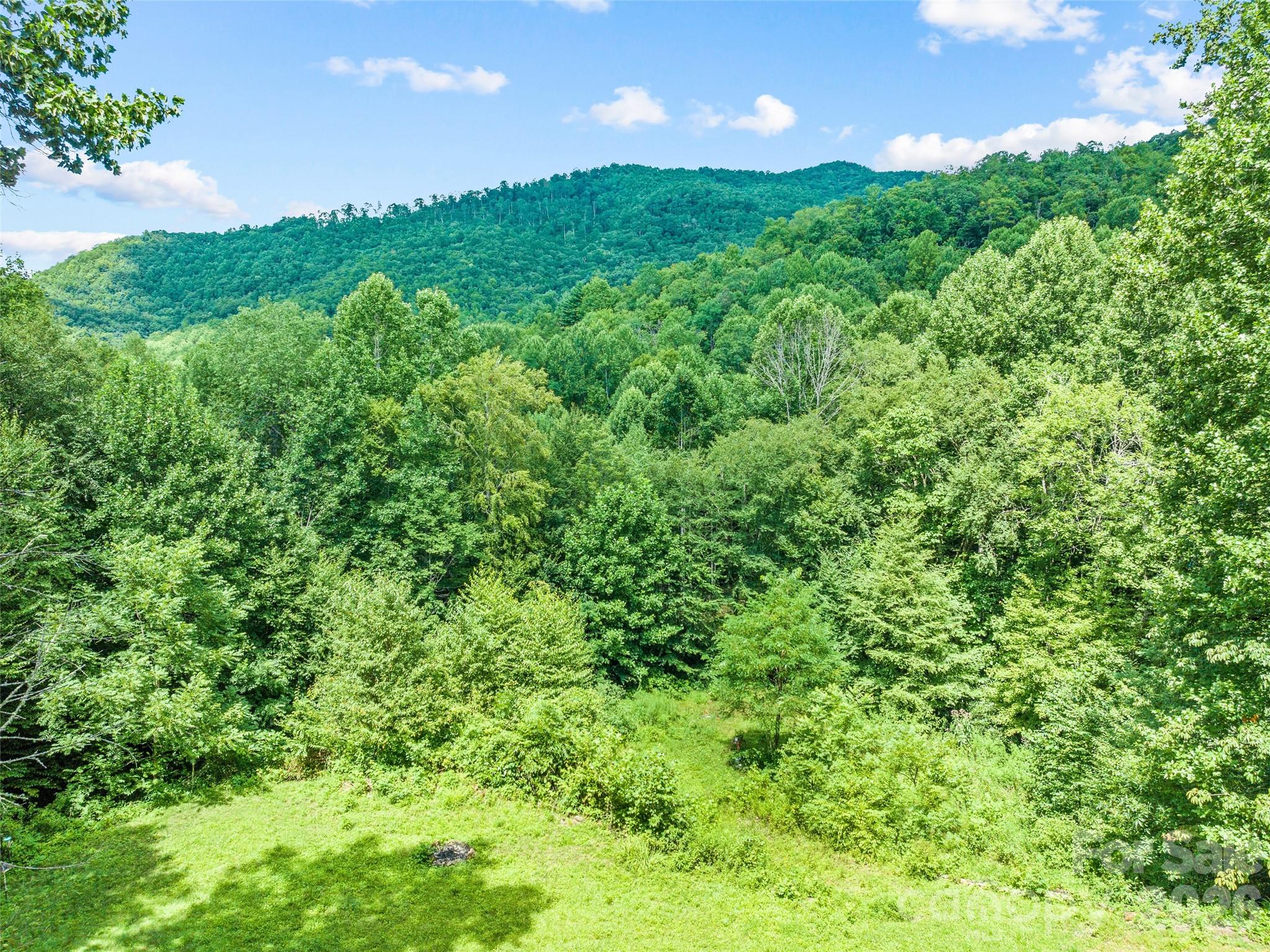 Laurel Gap - Residential