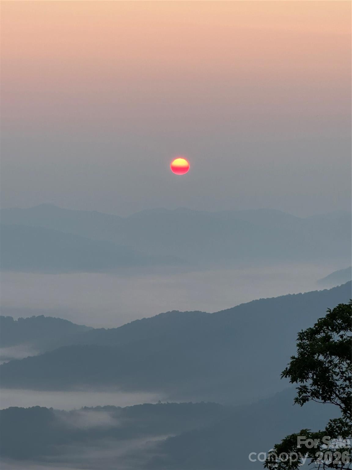 Laurel Heights - Residential