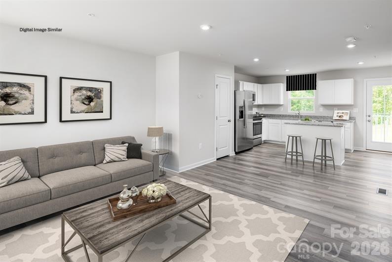 Laney Farms - Residential