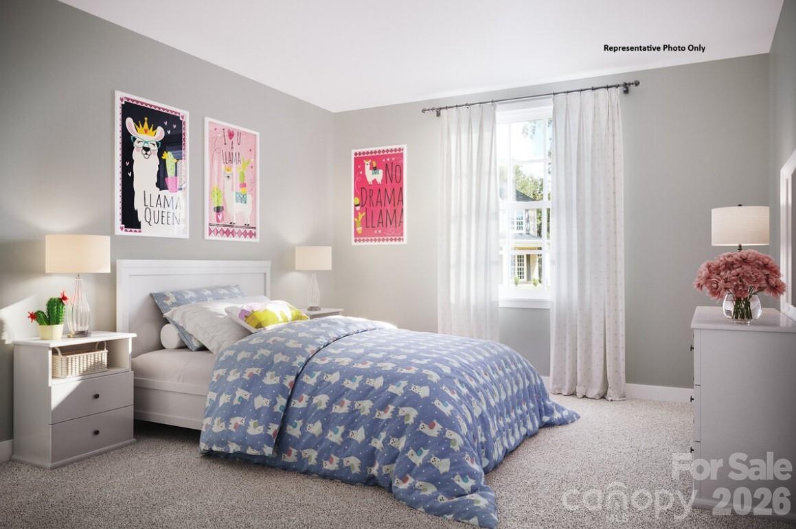 Laney Farms - Residential