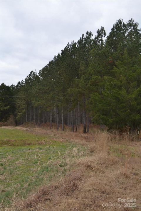 A home in Wadesboro