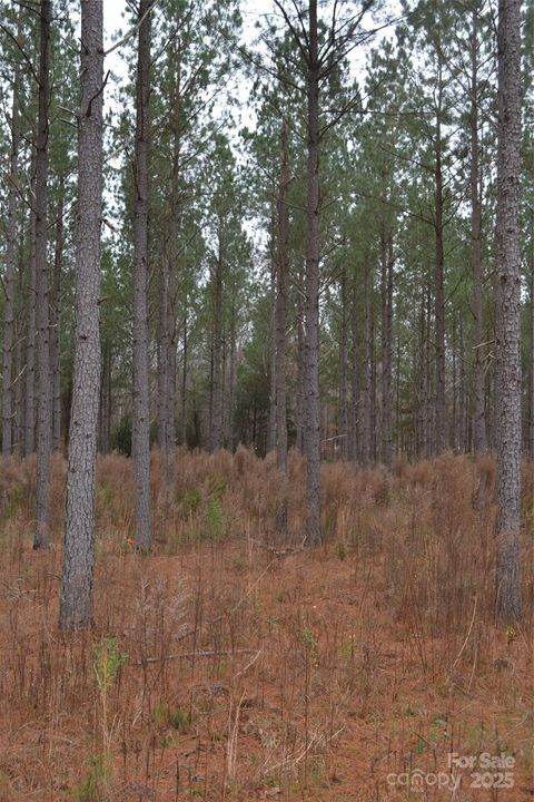 A home in Wadesboro