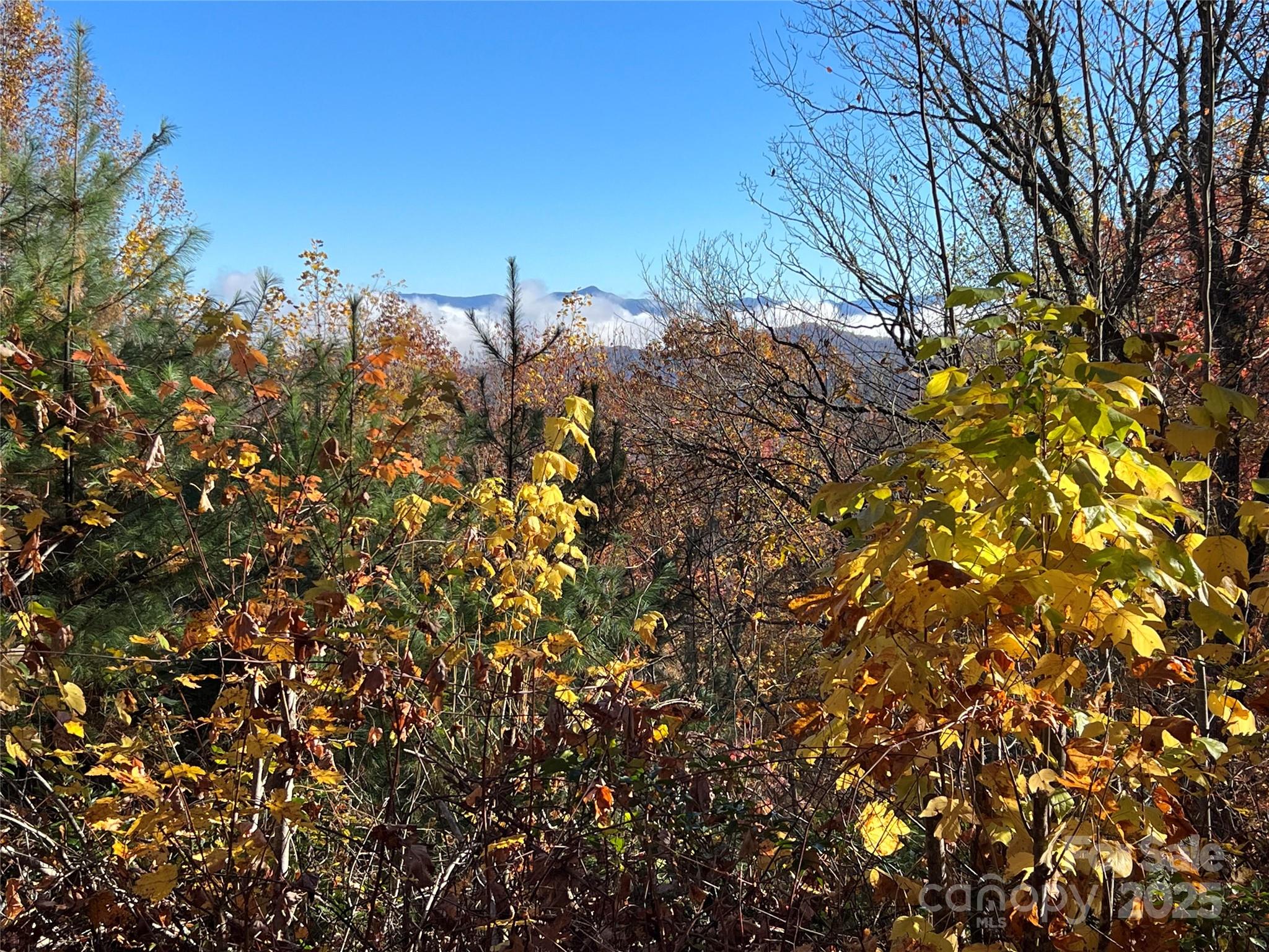 Hemlock Falls - Land