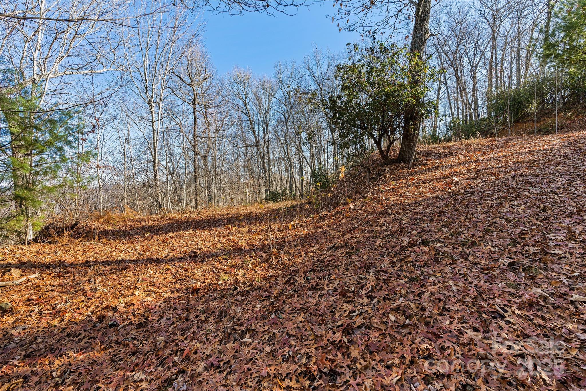 Hemlock Falls - Land