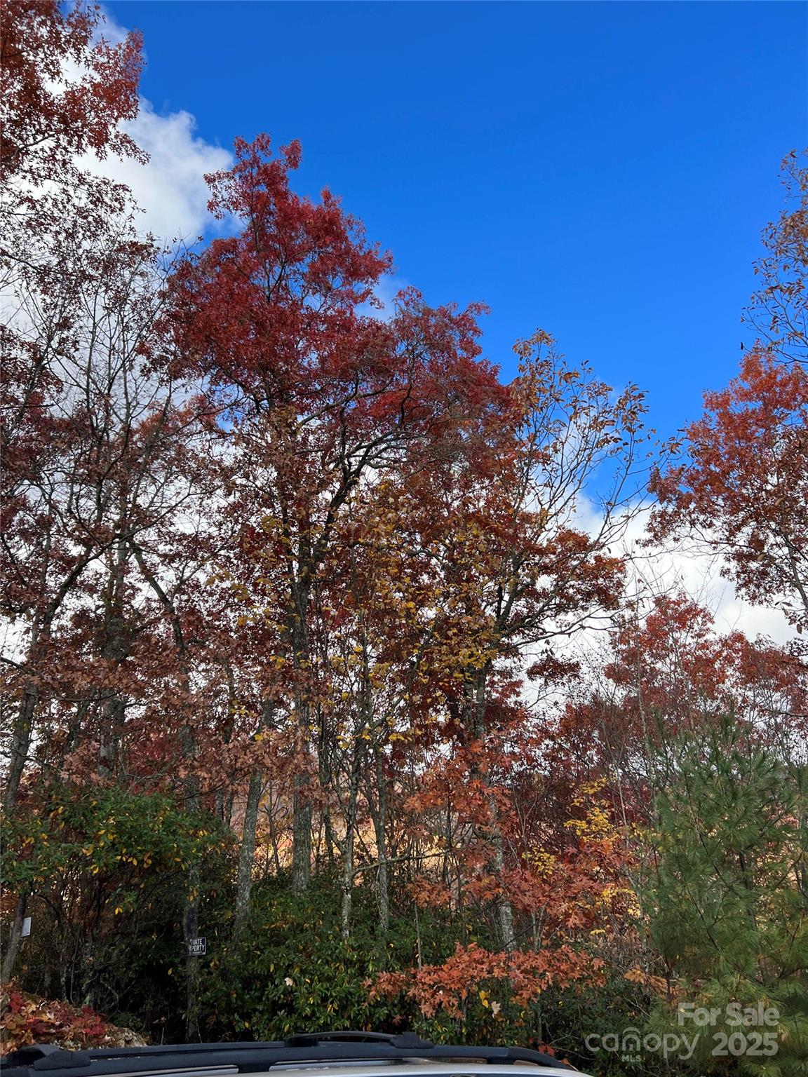 Hemlock Falls - Land