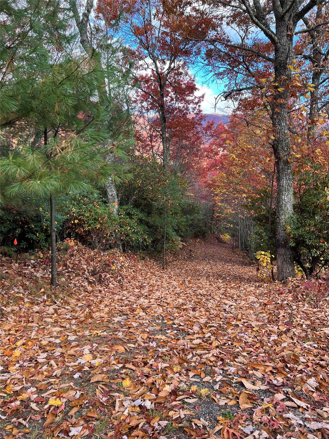 Hemlock Falls - Land
