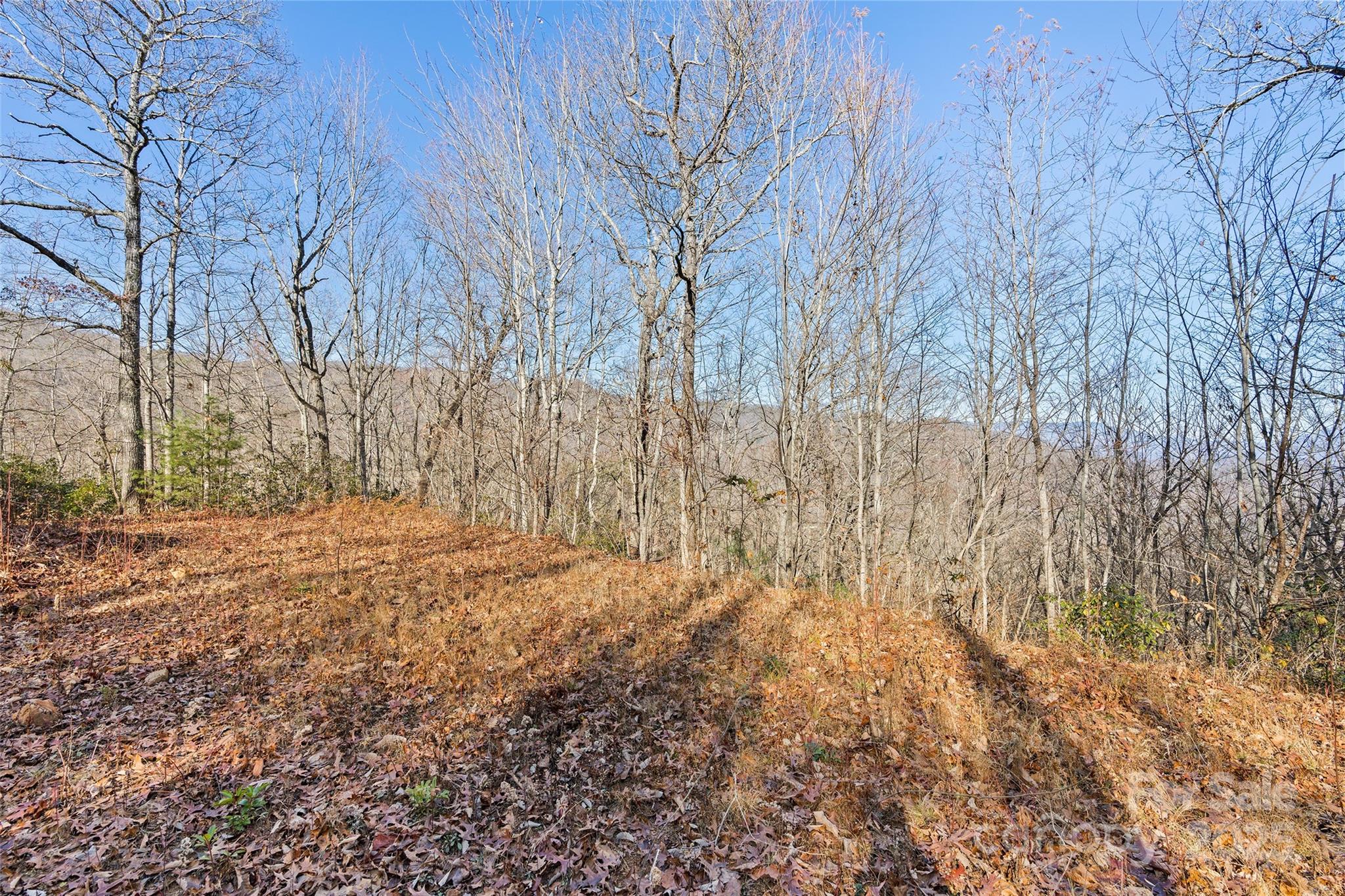 Hemlock Falls - Land