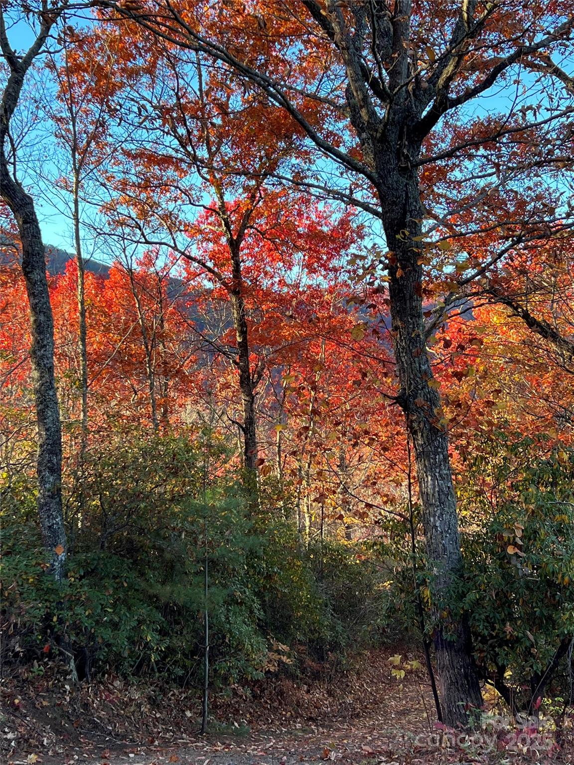 Hemlock Falls - Land