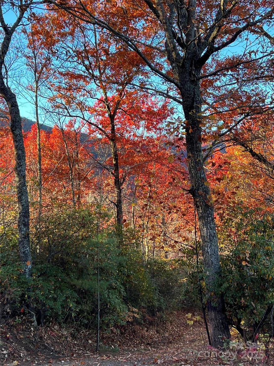 Create your private mountain retreat with room for family and friends on these two adjoining lots. One lot features a pre-graded house pad and a ready-to-use septic system. Both share an easy-access driveway for year-round convenience. Enjoy peaceful seclusion in summer and mountain views in winter from your private, wooded escape. Nature lovers will appreciate the abundant wildlife and nearby hiking, fishing, kayaking, and tubing on the Tuckasegee River. The property adjoins Betty’s Creek Vineyard for quick getaways, with everyday essentials just 15 minutes away. Harrah’s Cherokee Casino is under 30 minutes away for added fun. Discover the perfect blend of serenity, recreation, and accessibility with these exceptional mountain lots.