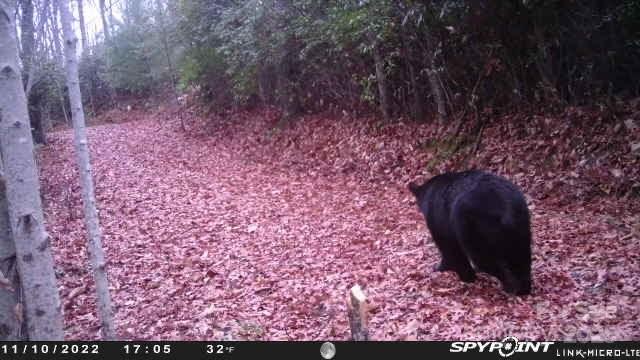 Hemlock Falls - Land