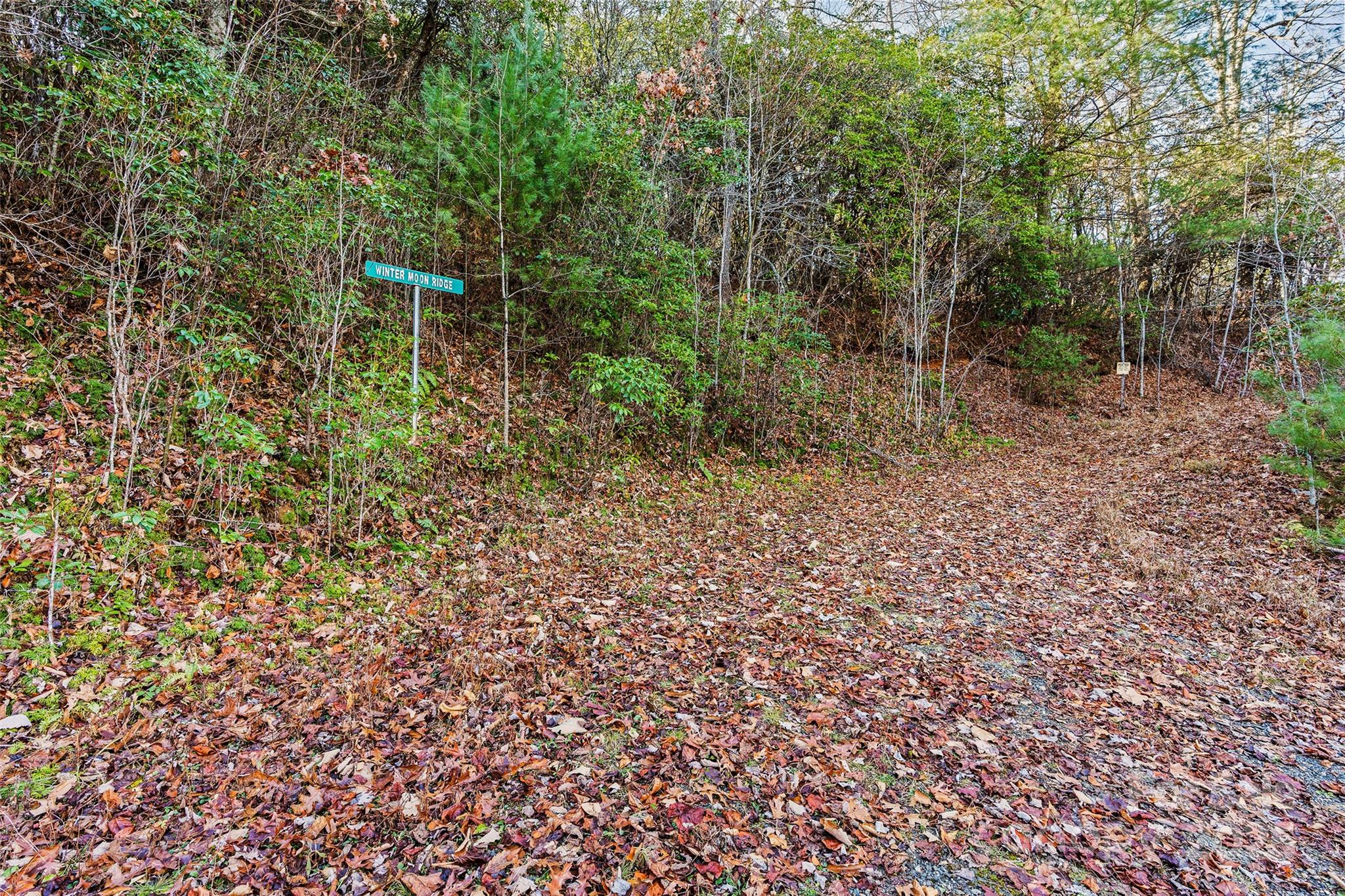 69 & 81 Winter Moon Ridge