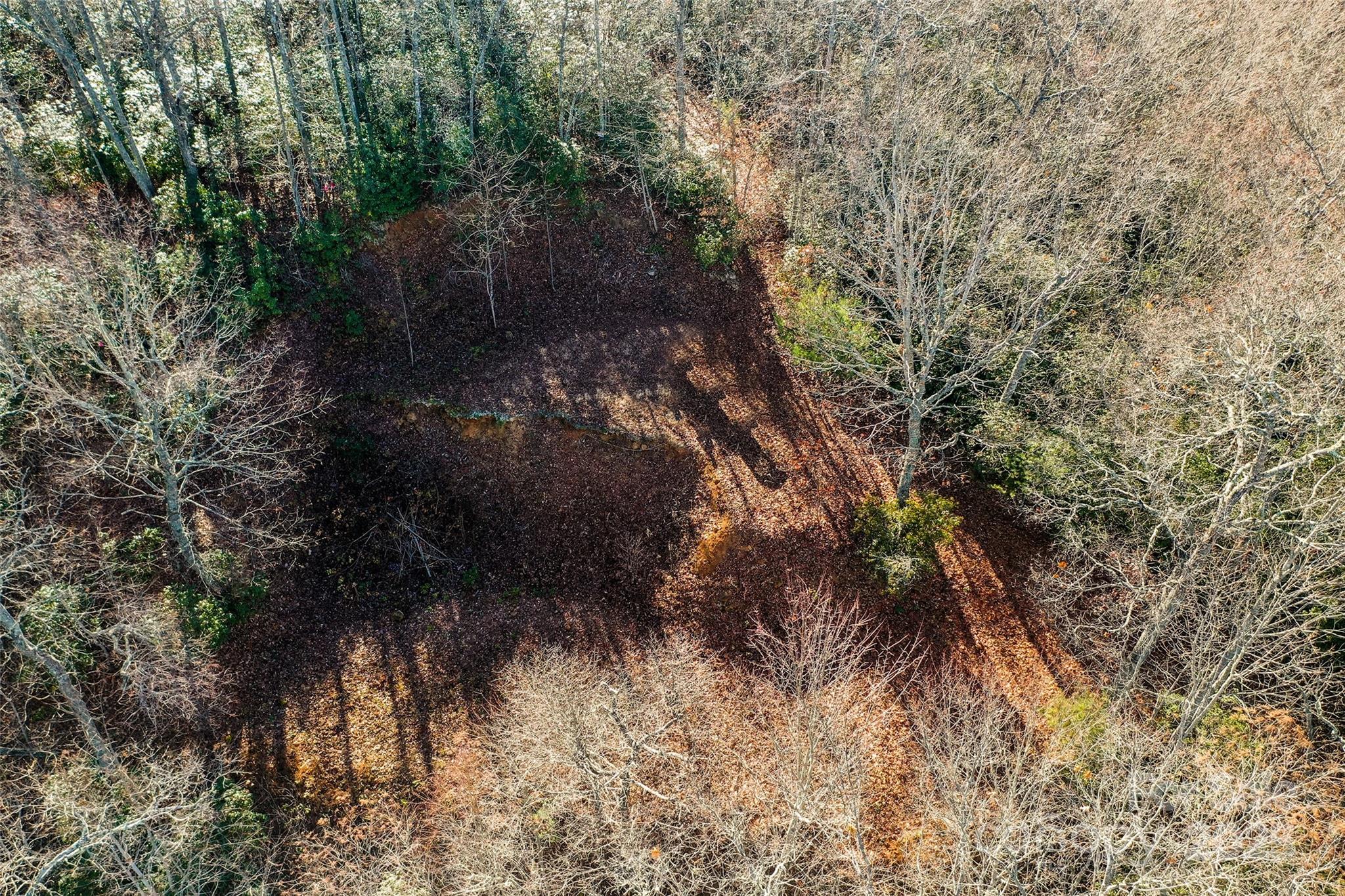 Hemlock Falls - Land