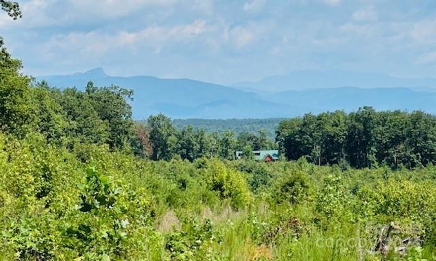 Nestled in serene seclusion, this sprawling 35-acre property offers the ultimate canvas for your dream estate. With breathtaking million-dollar mountain views stretching as far as the eye can see, this unrestricted land provides endless possibilities for those seeking privacy and tranquility. Recently clear-cut, the land is primed for development or simply enjoying the wide-open space. Whether you envision a luxurious mountain retreat, a sustainable homestead, or a personal sanctuary away from the world, this property delivers the freedom to create your perfect getaway. Embrace the beauty of panoramic mountain vistas while having the flexibility to design a space that's uniquely yours.