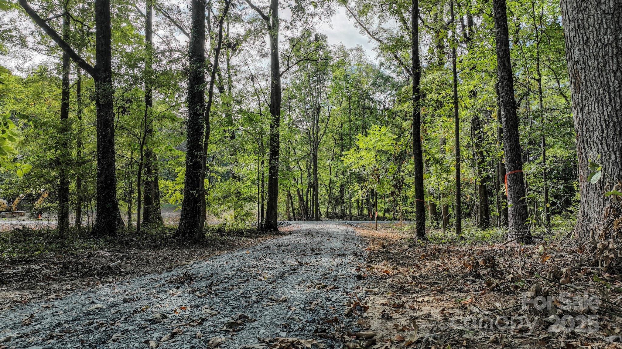 Alexander Woods - Land