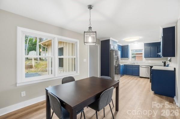 Shannon Park - Residential