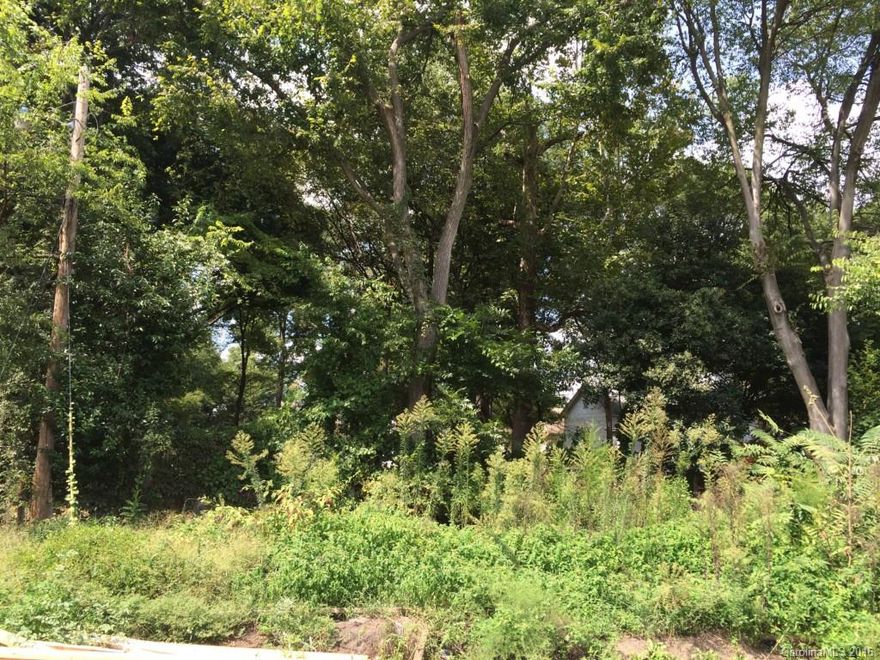 Excellent investment or new construction opportunity in Southend near light rail and historic Dilworth! Mostly cleared but has mature trees in the back and 50' of road frontage and currently zoned B-1. Surrounded by new construction/renovations and easy access to Uptown and I-77.