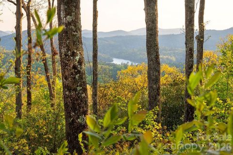 175 Skyview Road L-5 Lake Toxaway NC 28747