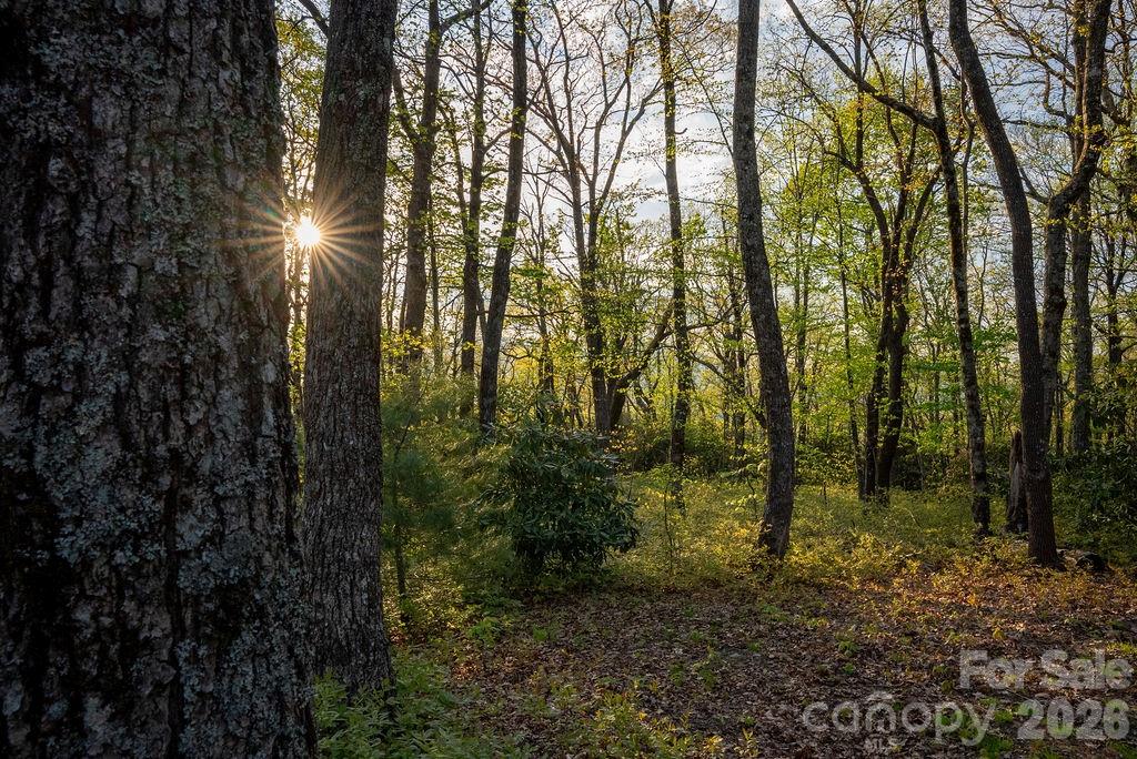 175 Skyview Road L-5