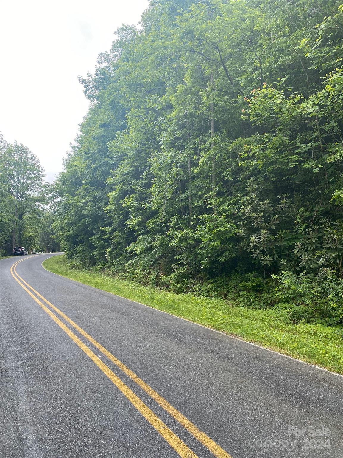 0 Cedar Creek Road 61