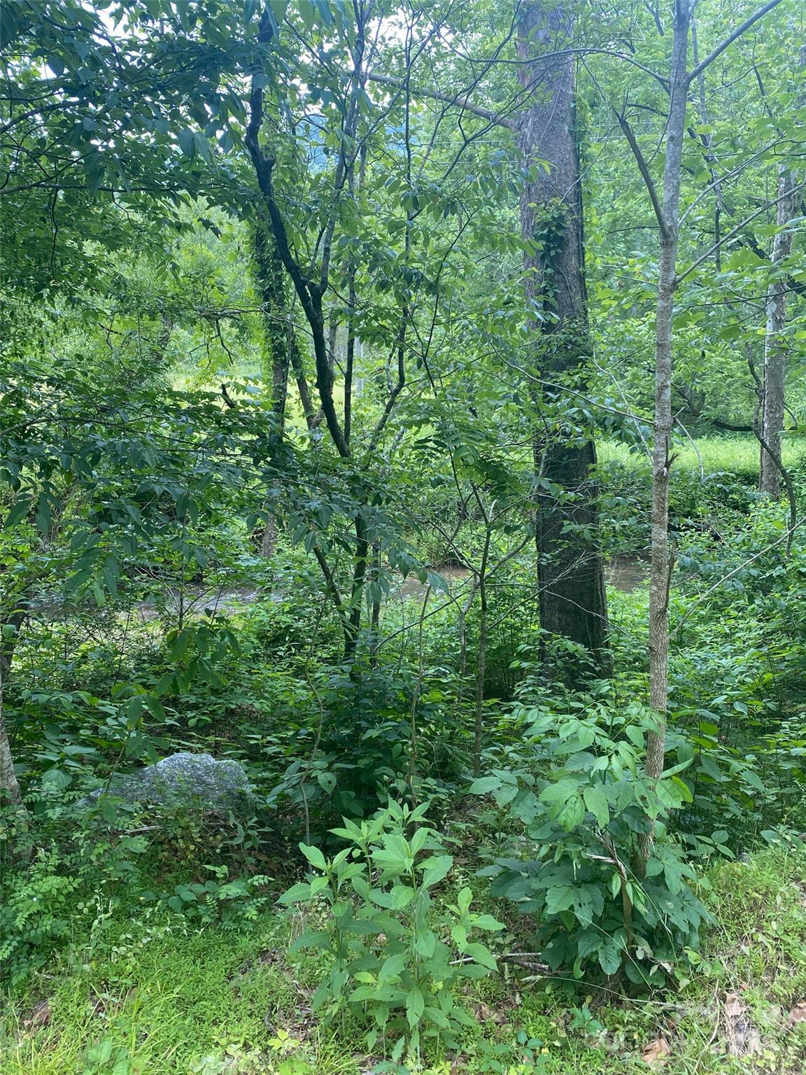 Riverbend Highlands - Land