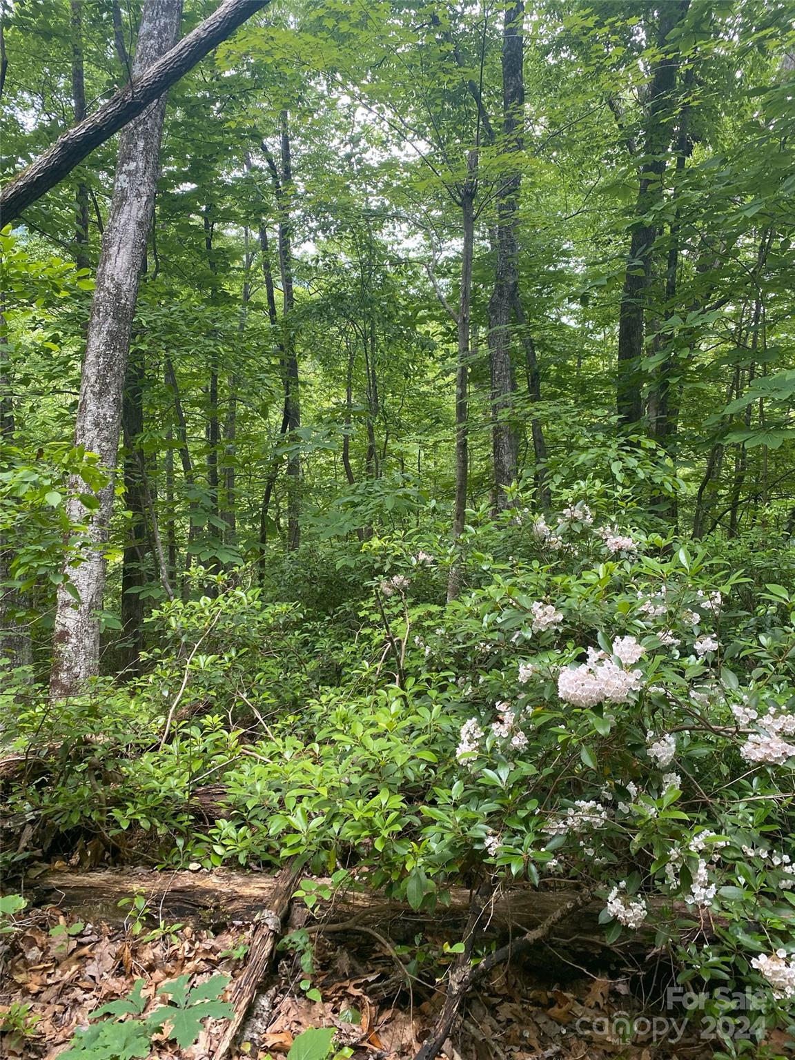 Riverbend Highlands - Land