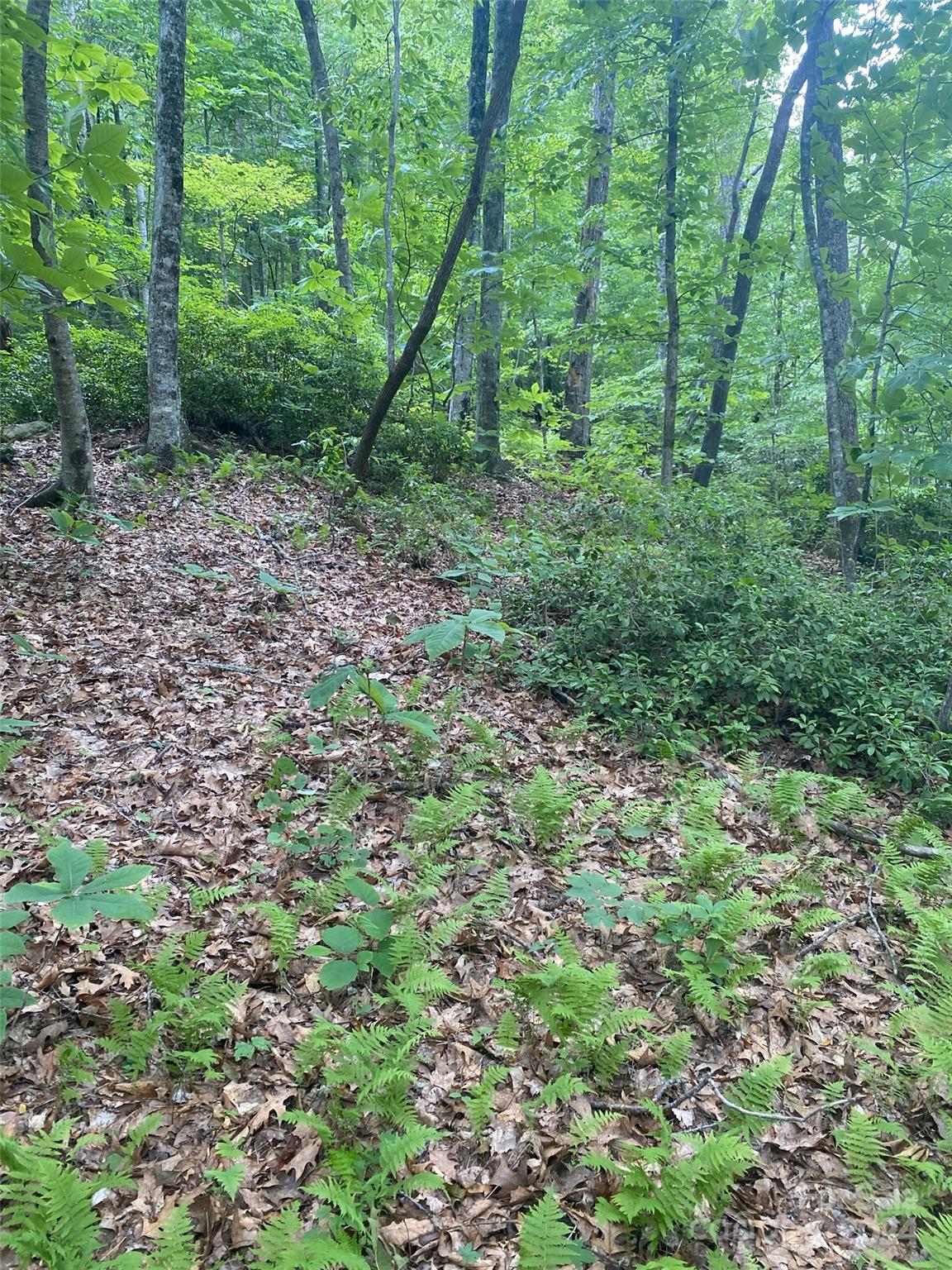 Riverbend Highlands - Land