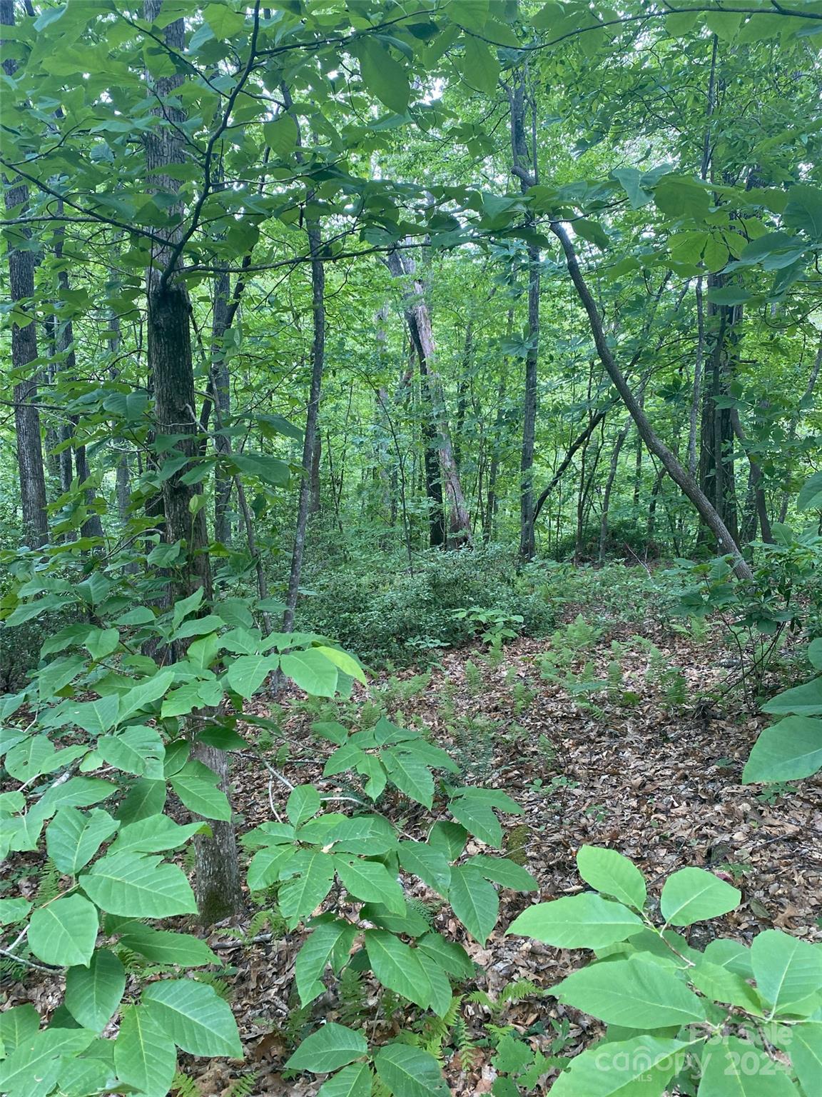 Riverbend Highlands - Land