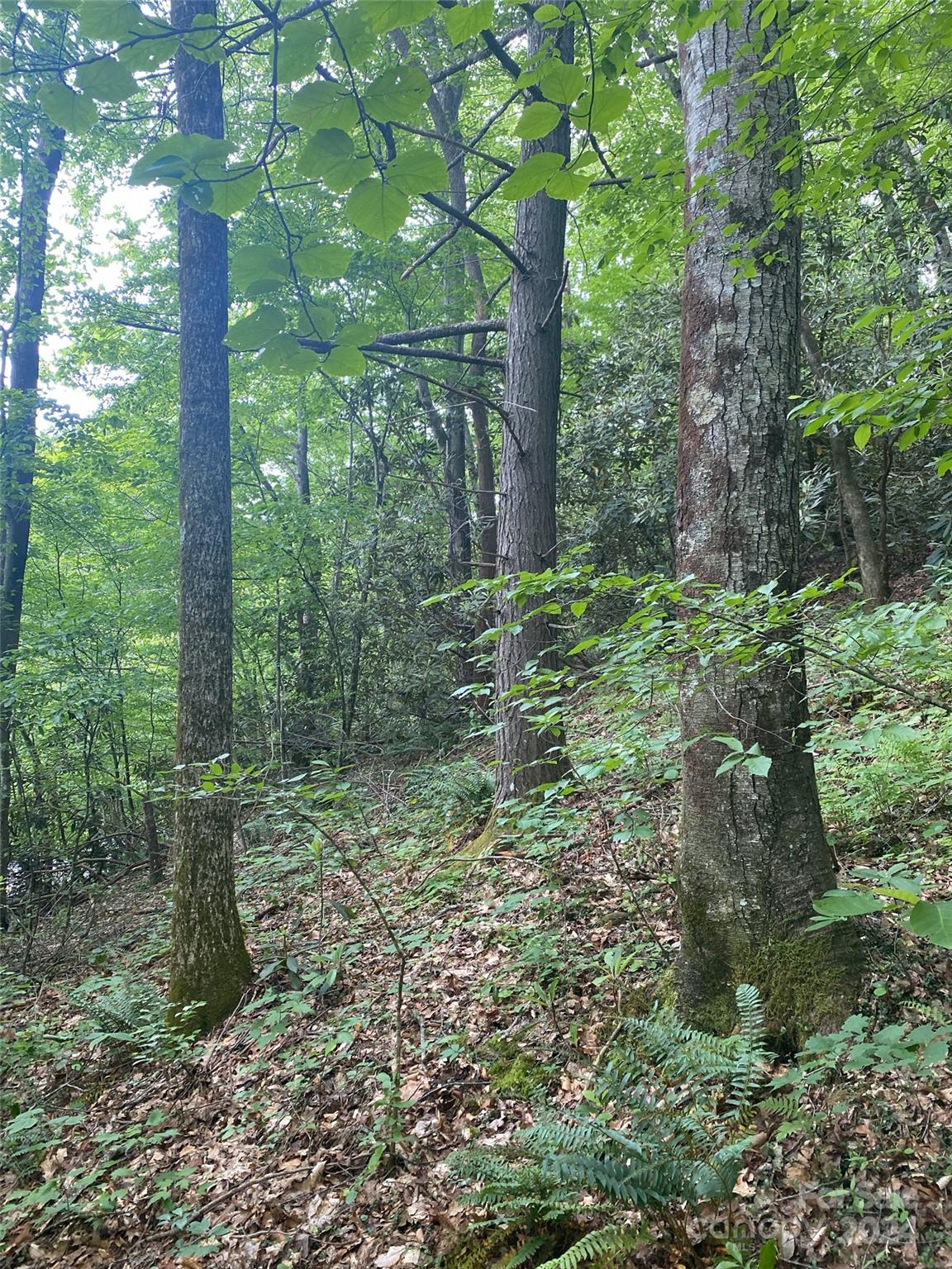 0 Cedar Creek Road 61