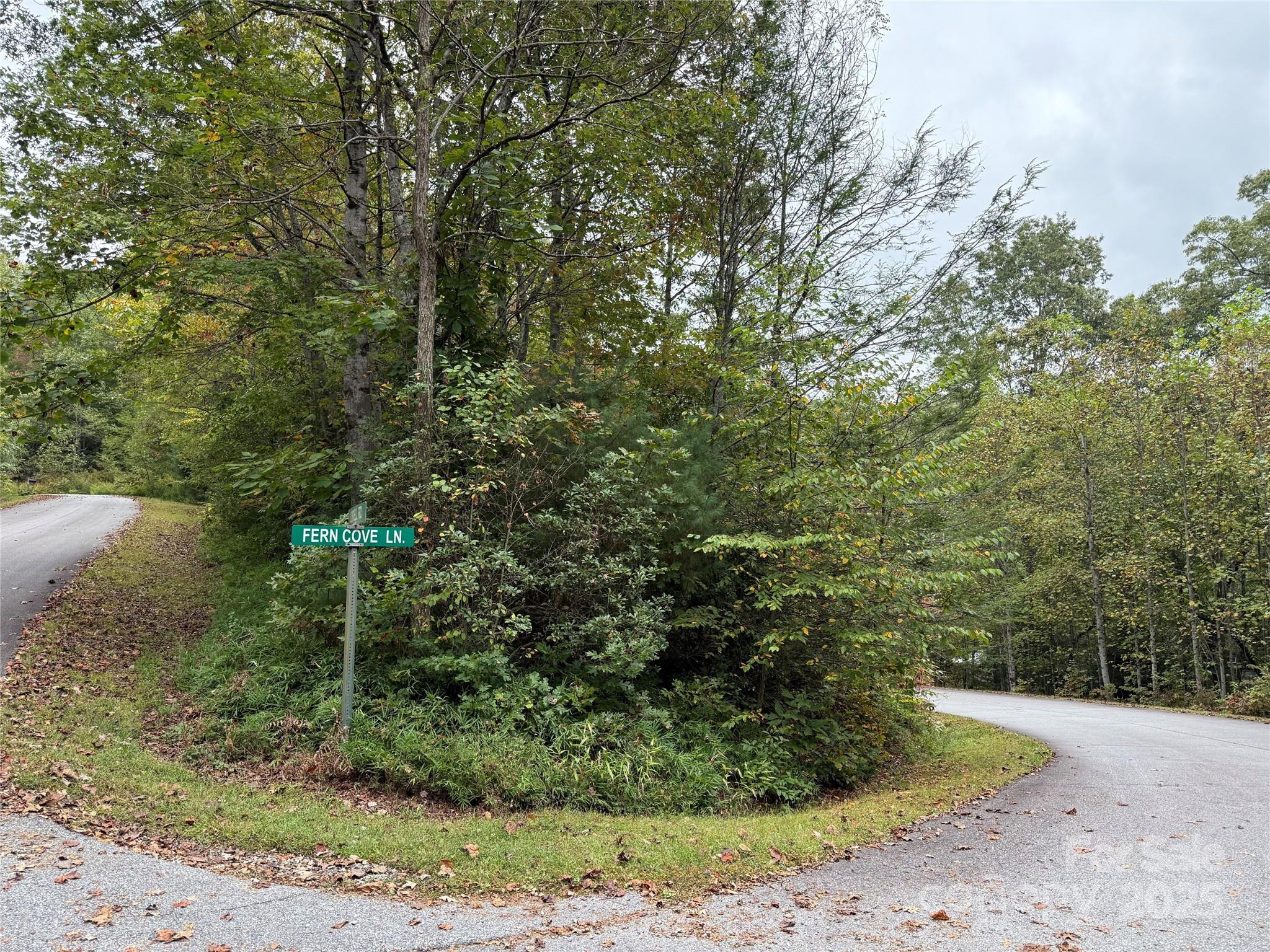 TDB Fern Cove Lane 44