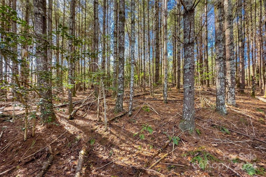 Build your dream home in one of Lake James’ premier developments, Southpointe!
This a great wooded interior lot, with city water and sewer. High speed internet is also available throughout the community. With the purchase of lot 260, you will gain access to your own deeded boat slip!
The boat slips are very well kept and located in the same area as the club house and pool.
Nice wide paved roads and there’s the owners association, private (non-buildable) land bordering the whole left side of this lot. There are trails throughout Southpointe and there's a trailhead footsteps from the property.
This location is perfect for lake living in the one of the cleanest lakes in the country, and close enough to everything else you need. 15 Minutes to downtown Morganton, and 1 mile from Bones Jones Burgers and Butchery.
Come see this beautiful lot and community!! You will not be disappointed.