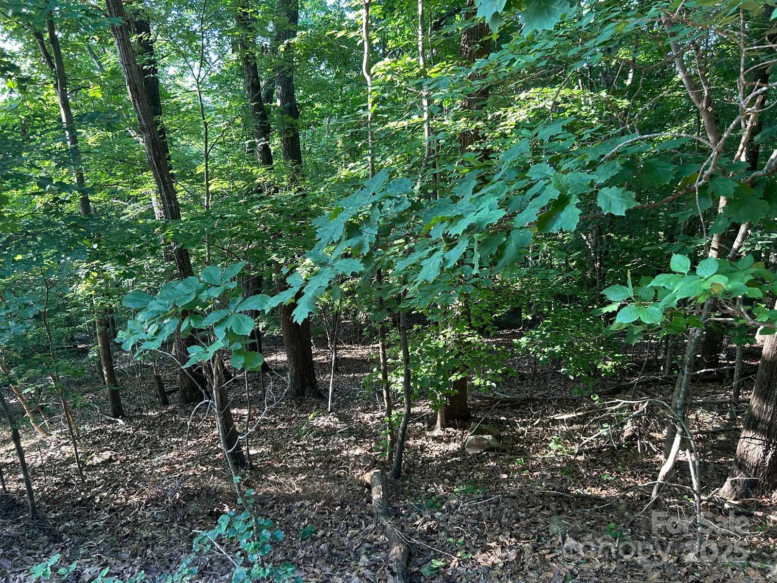 cramer mountain - Land