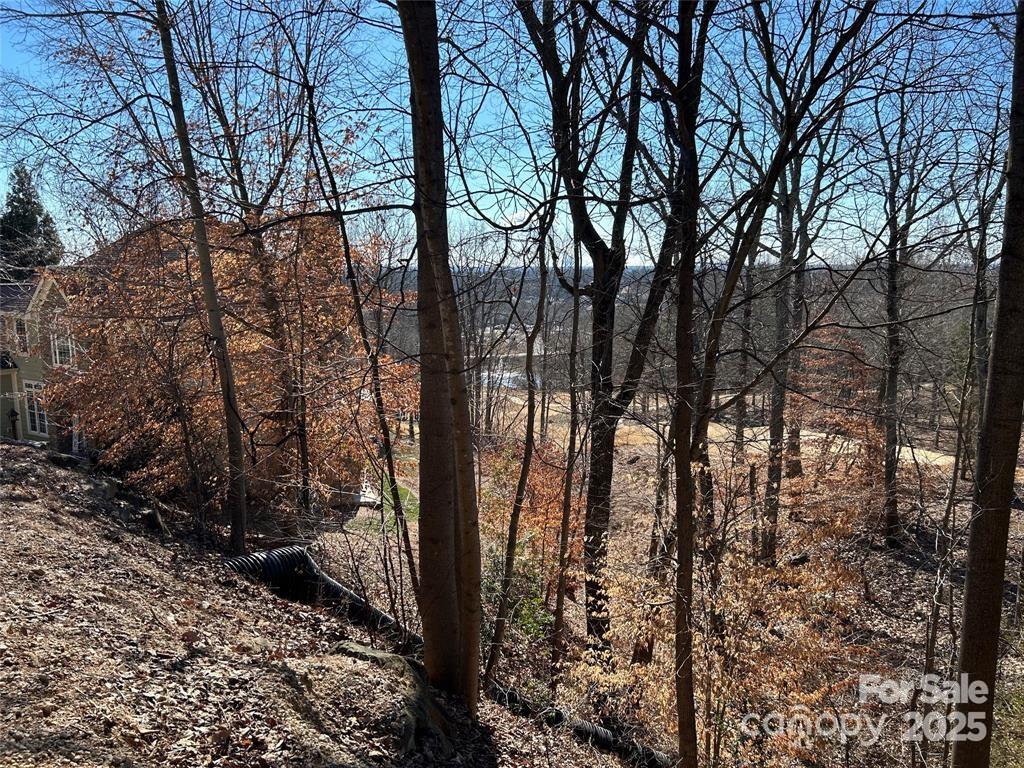 221 Mays Mills Drive 27