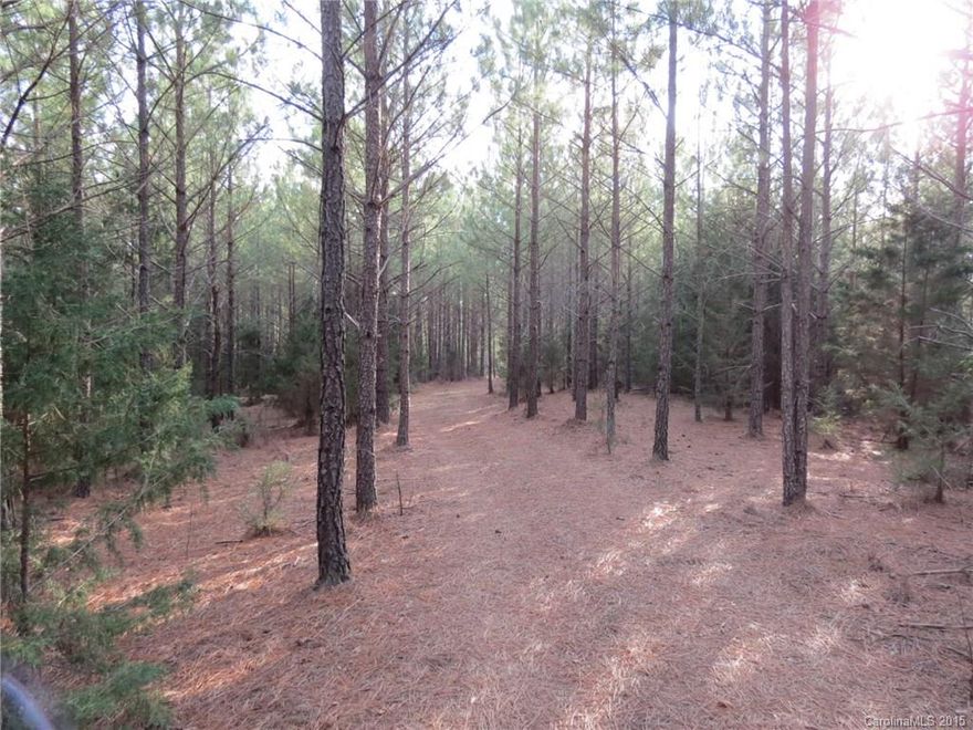 Beautiful tract of land that has it all.  This property has a nice stand of pines and also hardwoods in the creek bottom.  Back property line is large creek with incredibly beautiful bottom land.  This property is great for recreation, private home site, or weekend retreat.  There are several large hills that would make a great build site and create a very private setting and some very nice views.