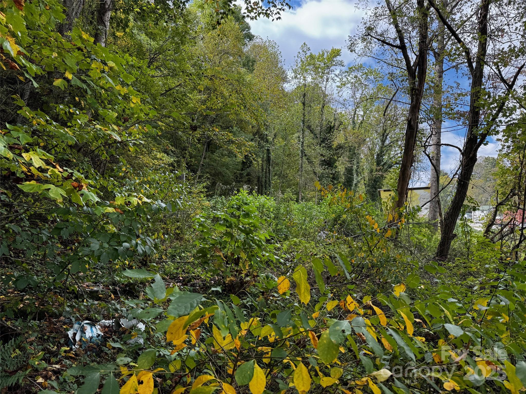 1261 Asheville Highway