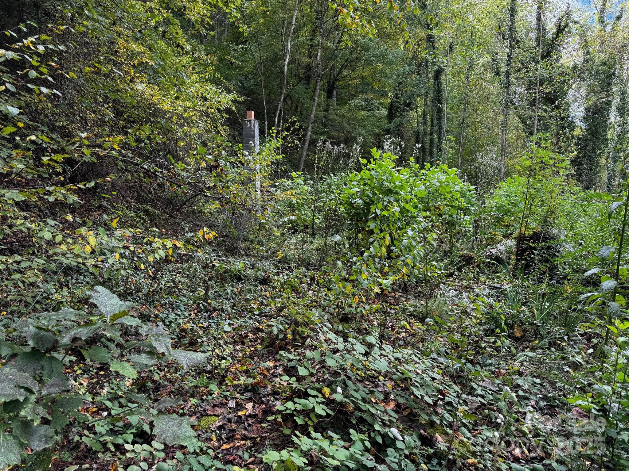 1261 Asheville Highway