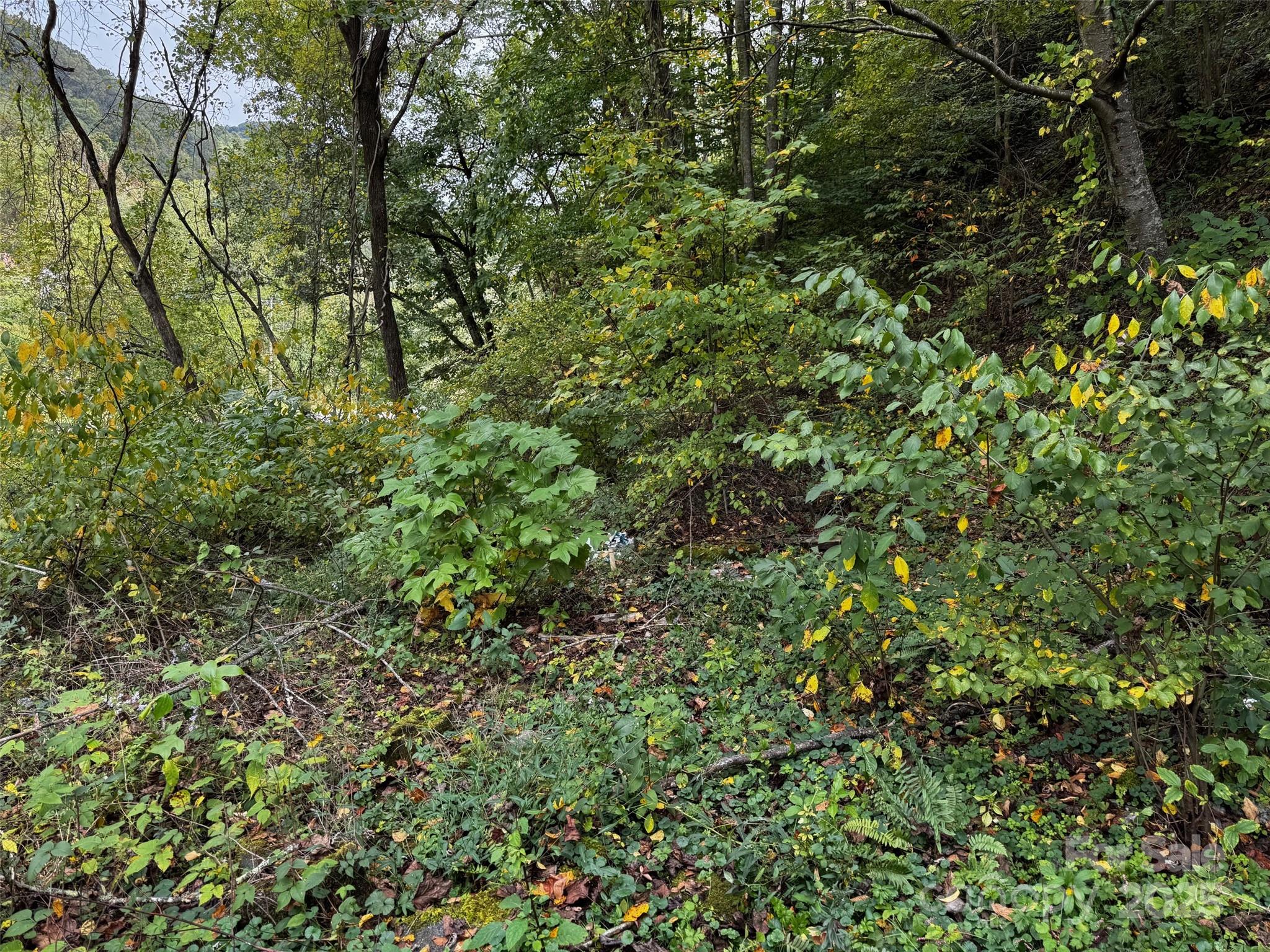 1261 Asheville Highway