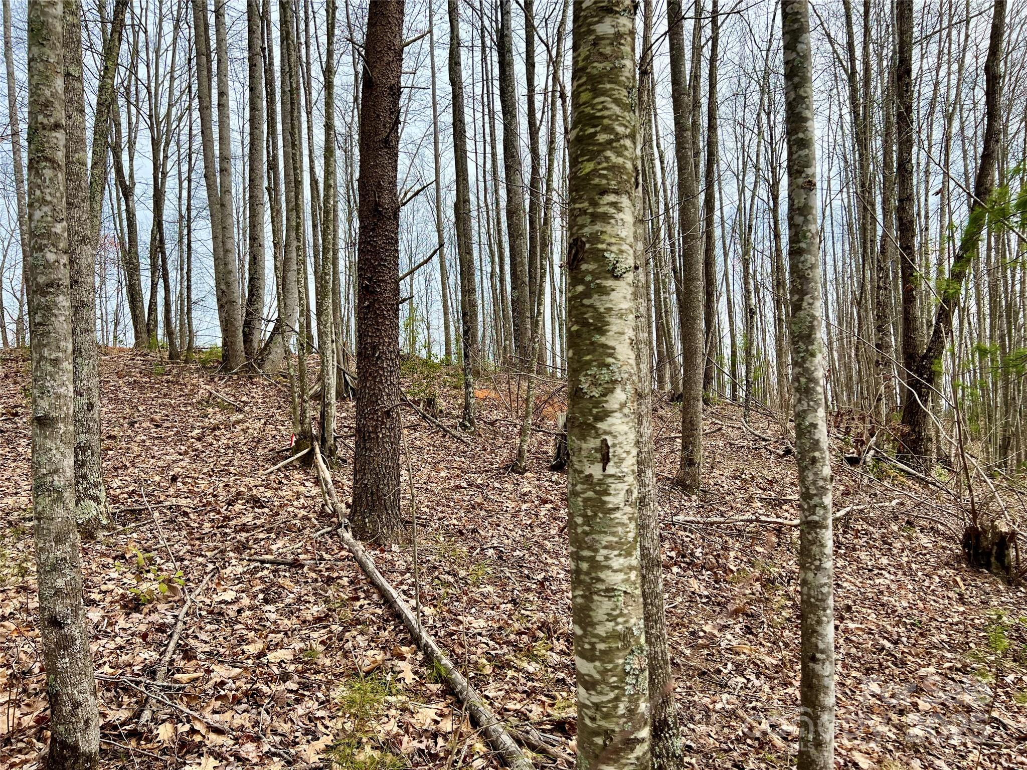 The Coves Mountain River Club - Land