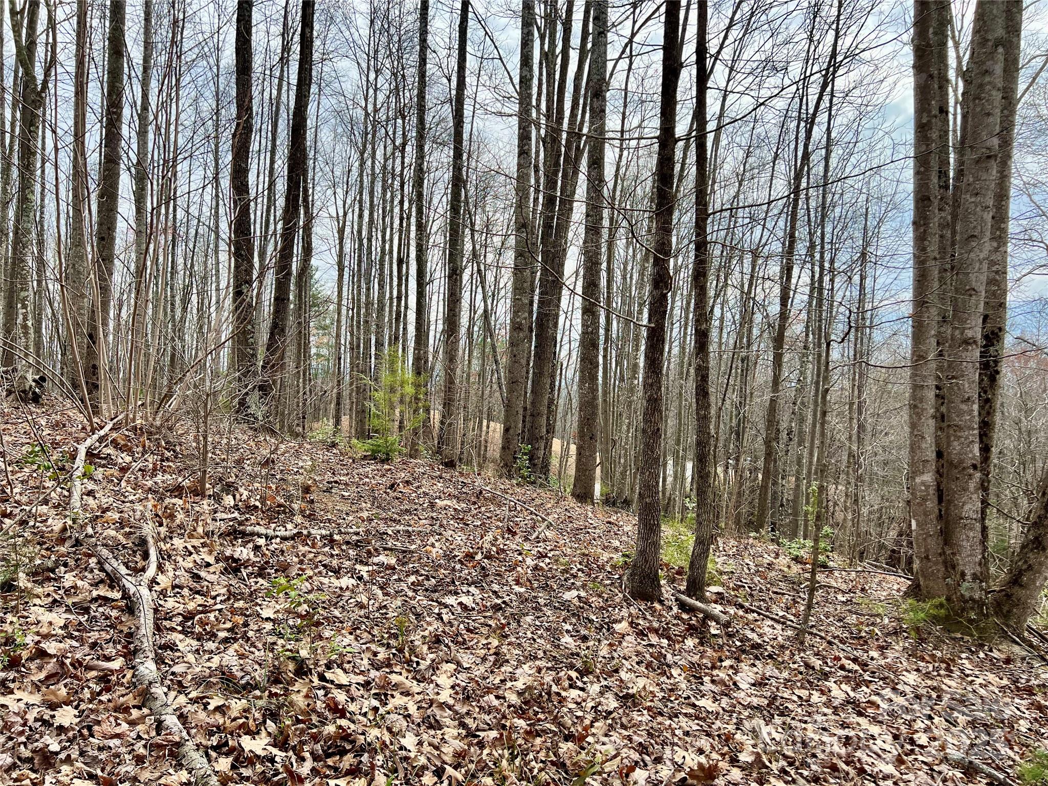 The Coves Mountain River Club - Land