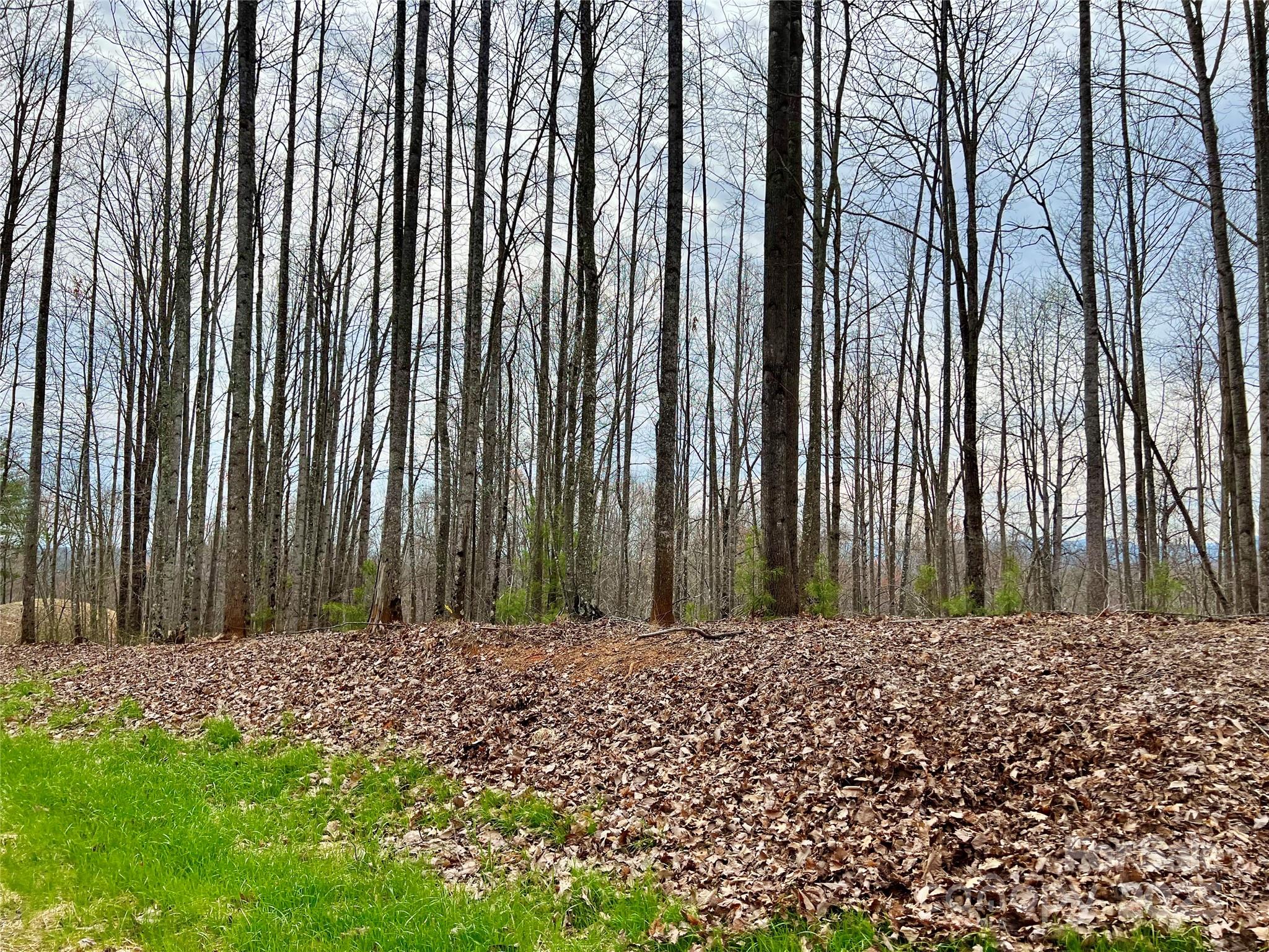 The Coves Mountain River Club - Land