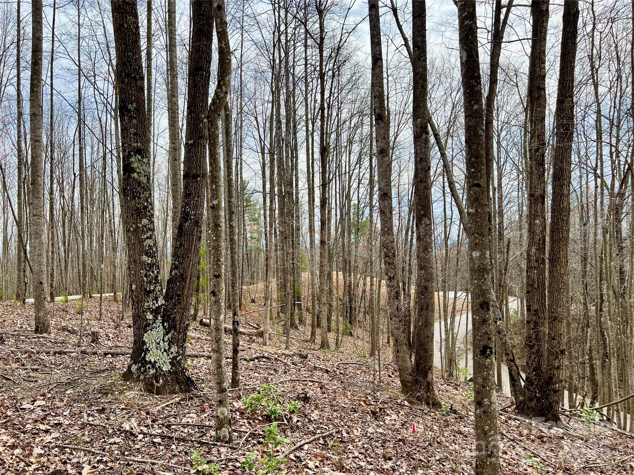 The Coves Mountain River Club - Land