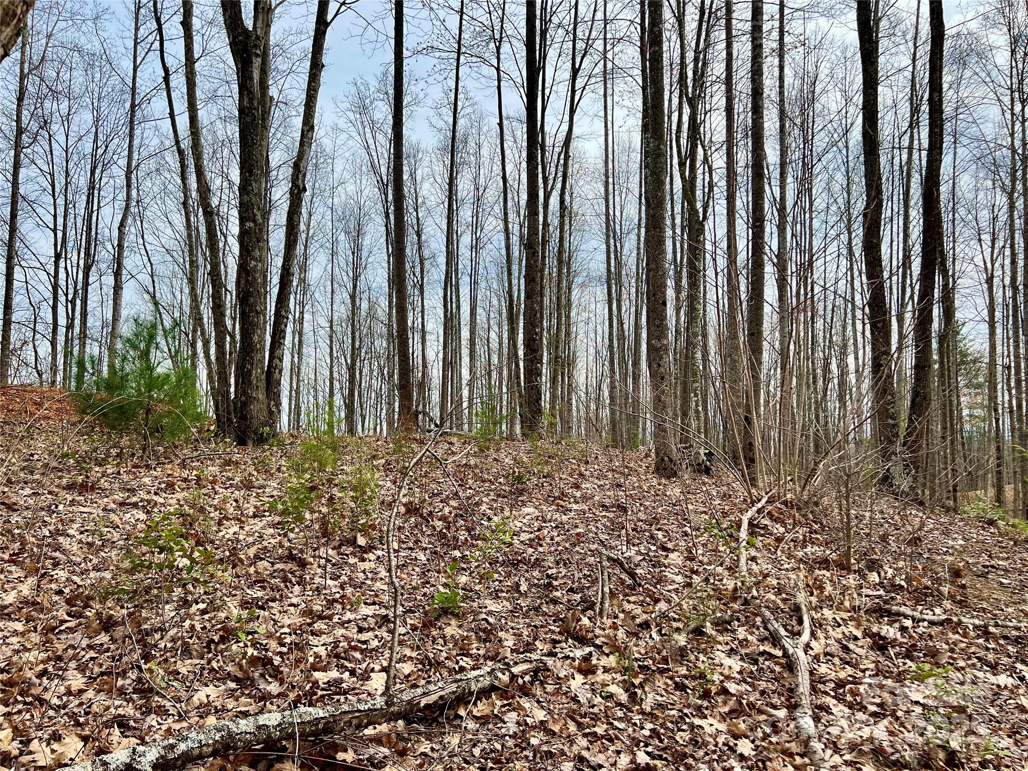 The Coves Mountain River Club - Land