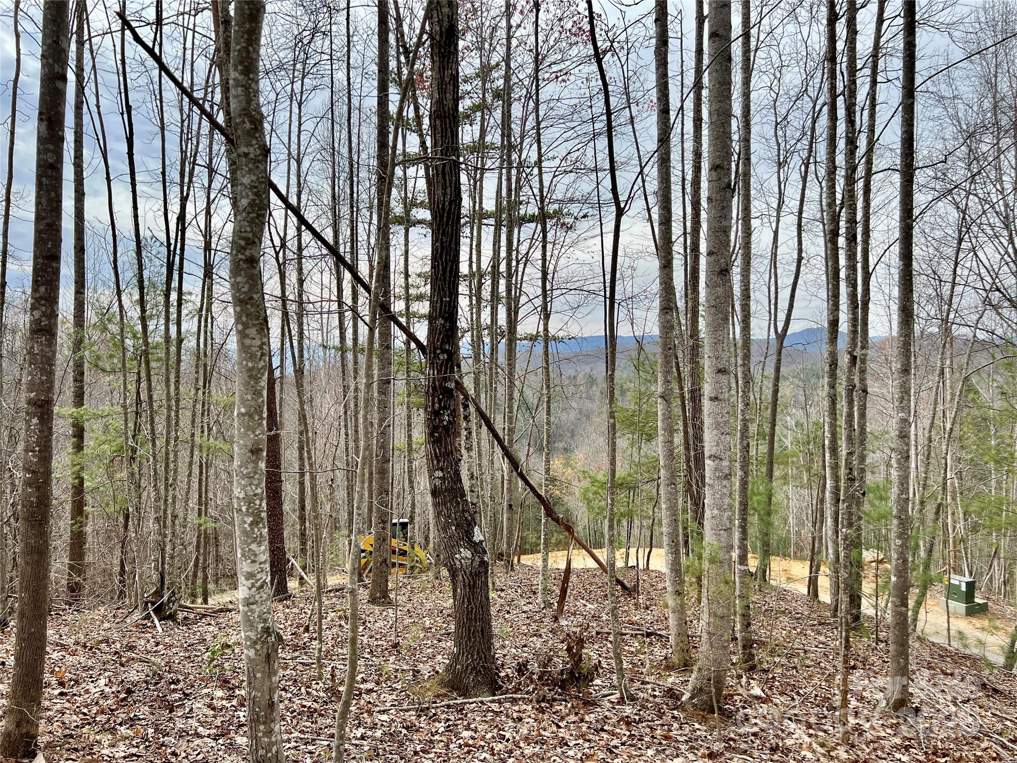 The Coves Mountain River Club - Land