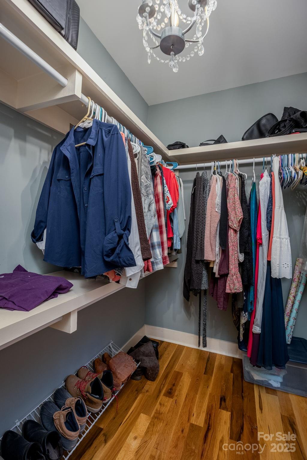 The Woods at Molly Creek - Residential