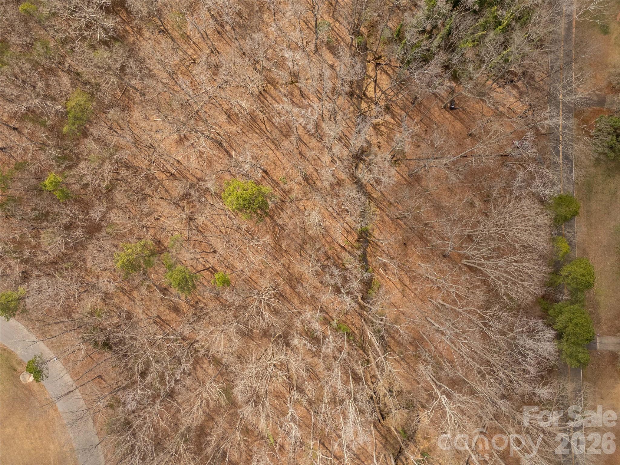 Pennington Meadows - Land