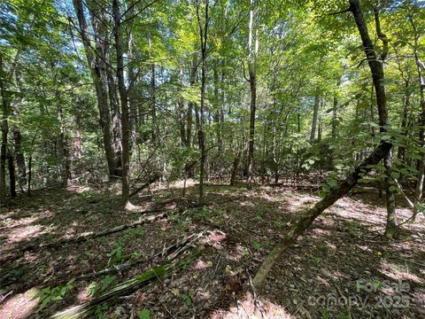 99999 Morgan Hill Road 4 Fairview NC 28730