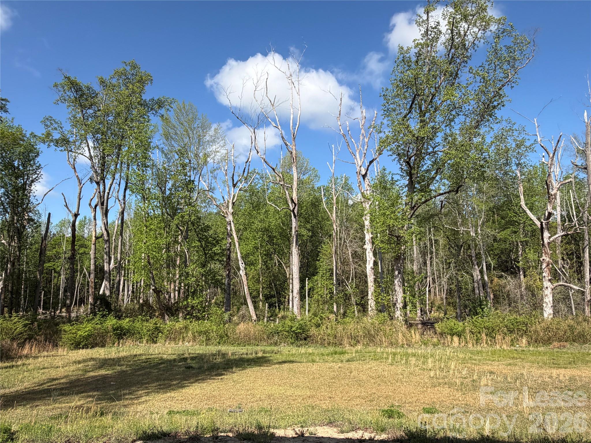 None - Residential Lease