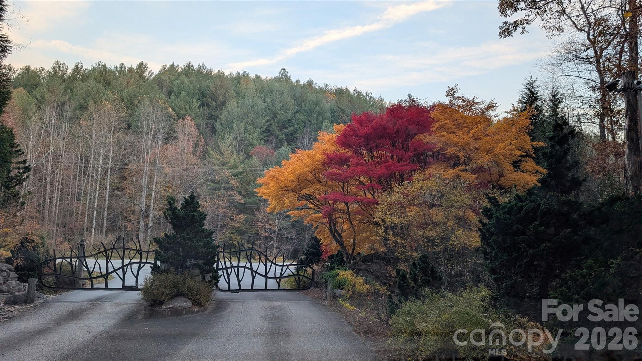 Pisgah Preserve - Residential