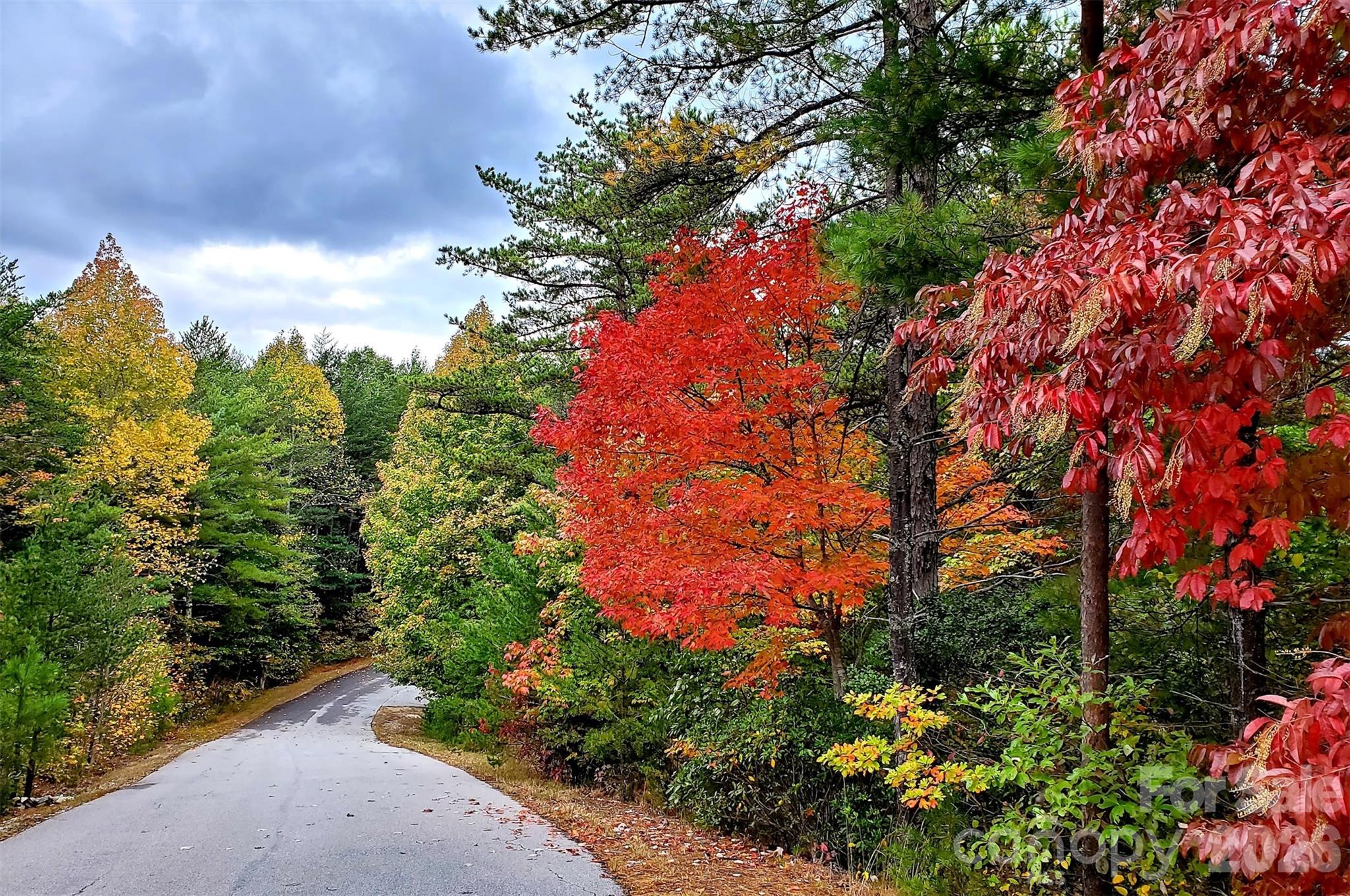 Pisgah Preserve - Residential
