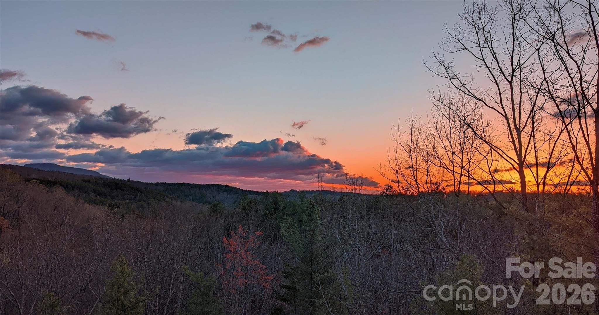 Pisgah Preserve - Residential