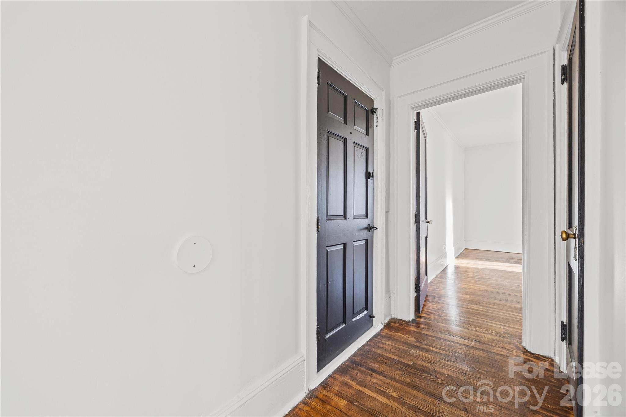 49 Corban Avenue SW 8